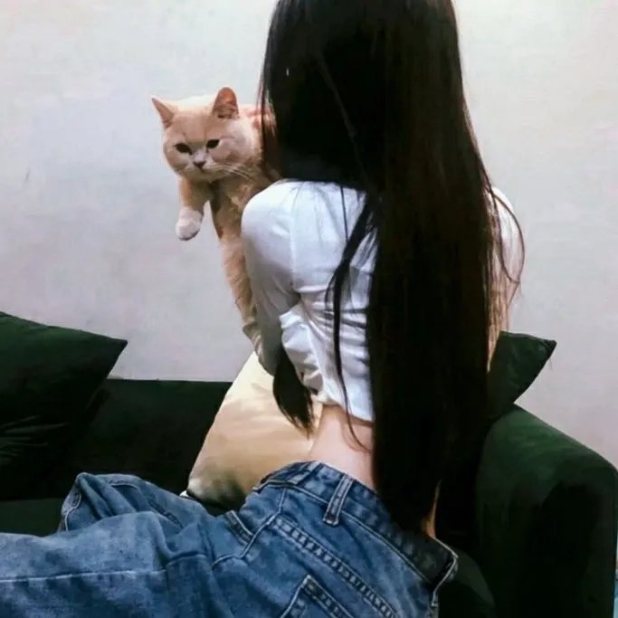 好妻子2020